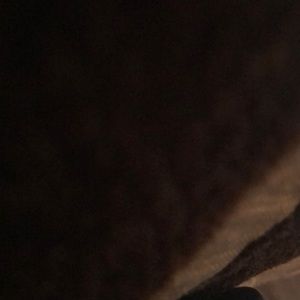 Meet your Posher, Vicky